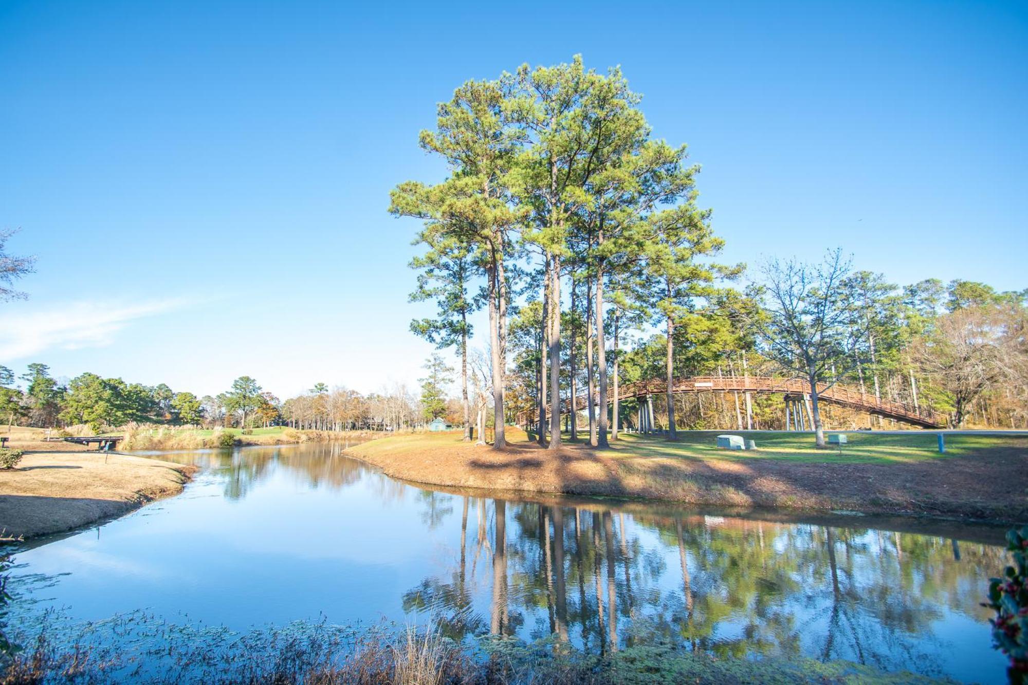 River Oaks 15-G By Palmetto Vacation Rentals Myrtle Beach Extérieur photo
